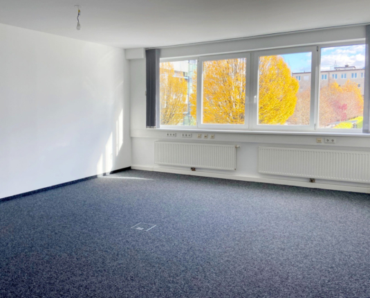 Helles Büro in modernem Haus