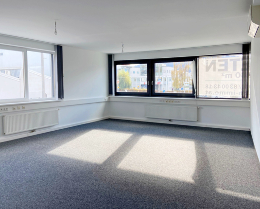 Helles Büro in modernem Haus