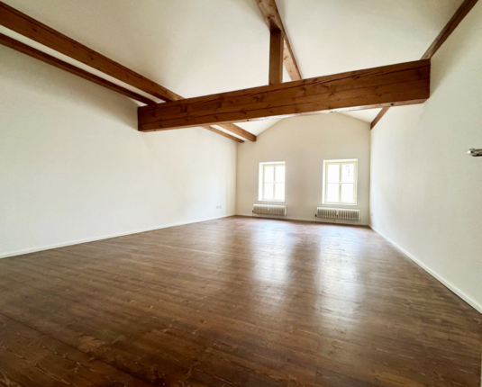 Traumhafte Dachgeschoßwohnung im Herzen von Salzburg