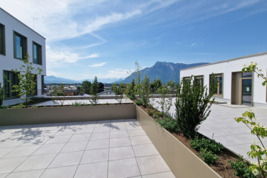 Moderne Großraumbüroflächen im &#8222;AlpAreal&#8220; Salzburg