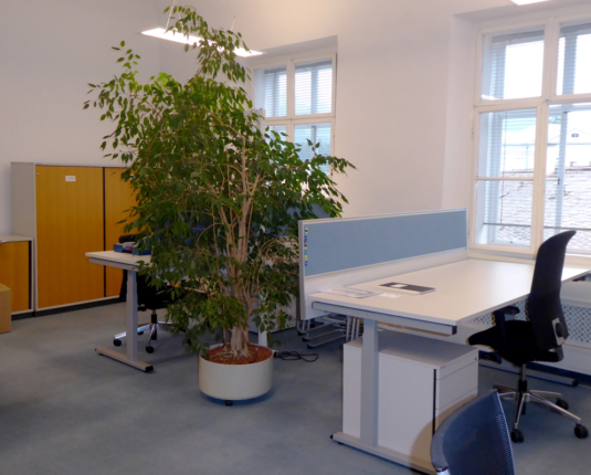 Gepflegtes Büro in historischem Zentrum