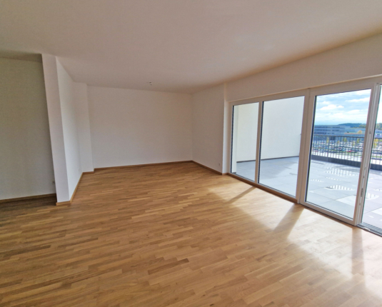 3-Zimmer-Penthouse mit riesiger Sonnenterrasse und Alpenblick
