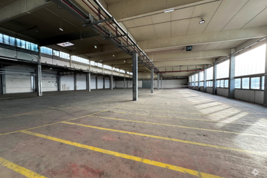 Großzügige Lagerhalle mit Büroanteil in verkehrsgünstiger Lage