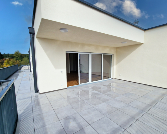 3-Zimmer-Penthouse mit riesiger Sonnenterrasse und Alpenblick