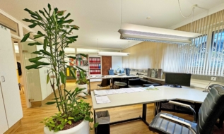 Ruhig gelegenes Büro im beliebten Stadtteil Aigen