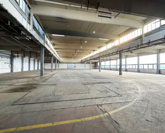 Großzügige Lagerhalle mit Büroanteil in verkehrsgünstiger Lage