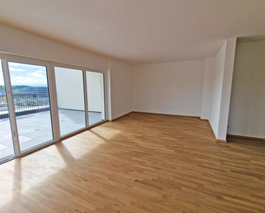 Penthouse mit traumhafter Aussicht und 81 m² Terrasse