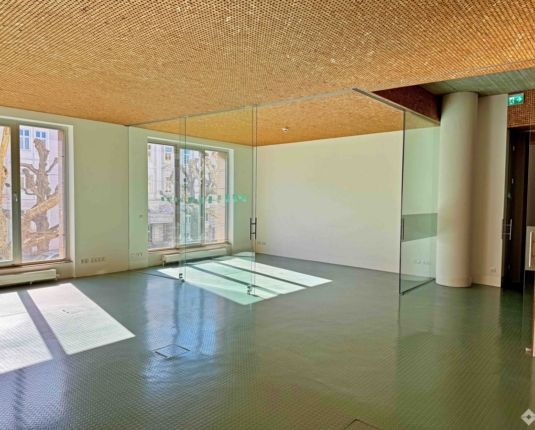 Helle, stylische Büroeinheit mit offener Raumgestaltung im Andräviertel