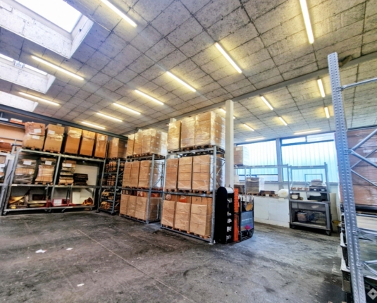 Zentral gelegene Gewerbeliegenschaft mit Halle und Büro-/Showroomflächen