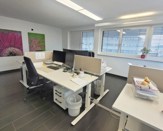 Modern ausgestattetes Büro mit Terrasse
