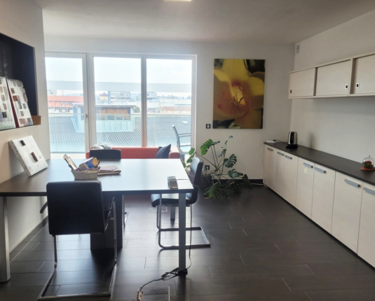 Modern ausgestattetes Büro mit Terrasse