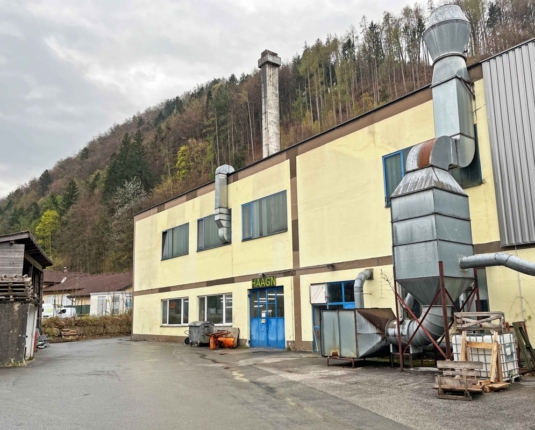 Raum für Handwerk – Kompakte Hallenfläche in ehemaliger Tischlerei
