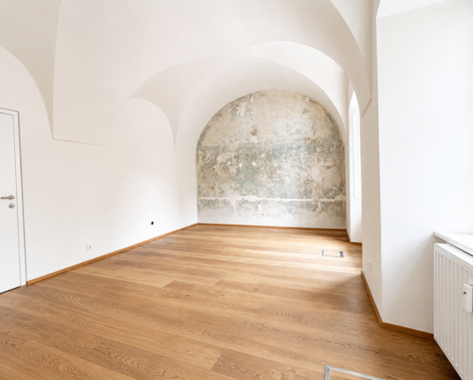 Exklusives Altstadtbüro mit Galerie, historischem Gewölbe und modernster Ausstattung