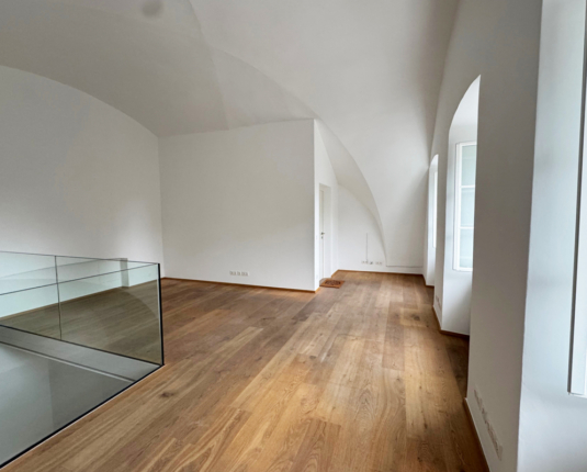 Exklusives Altstadtbüro mit Galerie, historischem Gewölbe und modernster Ausstattung