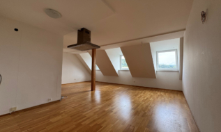 Moderne 3-Zimmer-Wohnung mit viel Licht im Kern von Thalgau