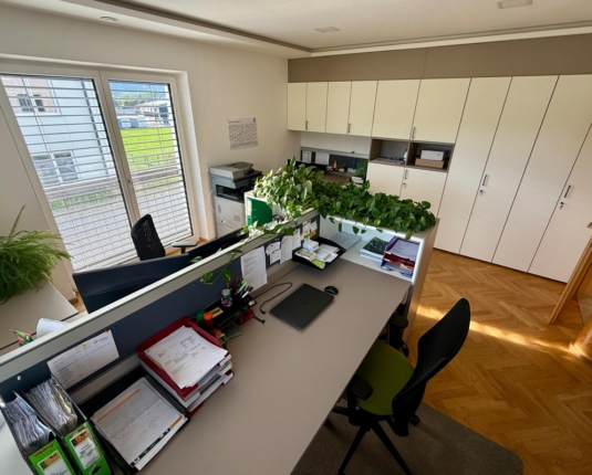 Modernes Betriebsobjekt mit Hallen-, Büro-, und Wohnflächen