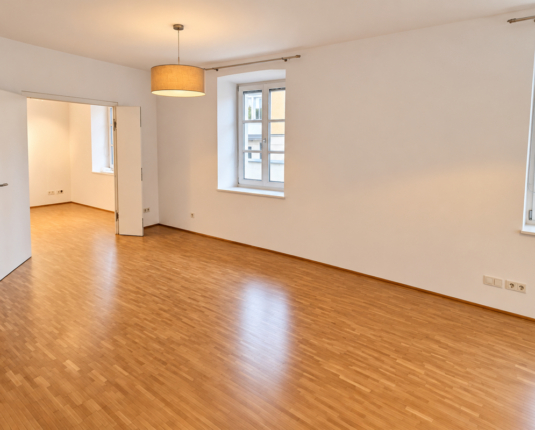 Repräsentatives Büro / Praxis in Ceconi-Villa in Maxglan